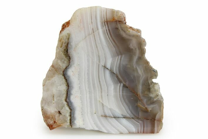 Polished Pilbara Agate Slice - Oldest Known Agate #353179